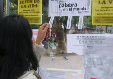 La buena acción del día